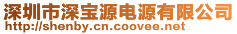 深圳市深宝源电源有限公司