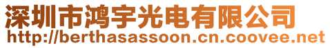 深圳市鴻宇光電有限公司