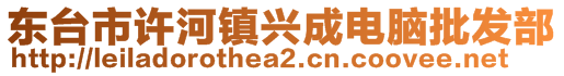 東臺(tái)市許河鎮(zhèn)興成電腦批發(fā)部