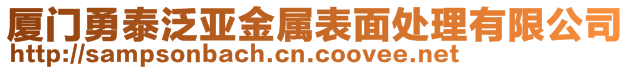 廈門勇泰泛亞金屬表面處理有限公司