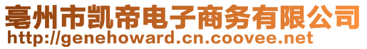 亳州市凱帝電子商務(wù)有限公司