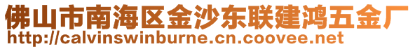 佛山市南海區(qū)金沙東聯建鴻五金廠