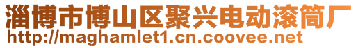 淄博市博山區(qū)聚興電動(dòng)滾筒廠