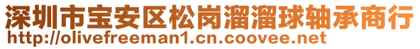 深圳市宝安区松岗溜溜球轴承商行