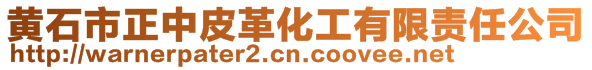黃石市正中皮革化工有限責(zé)任公司