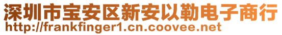 深圳市寶安區(qū)新安以勒電子商行