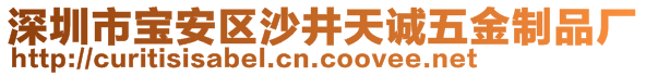 深圳市寶安區(qū)沙井天誠(chéng)五金制品廠