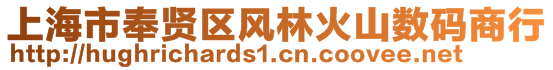 上海市奉賢區(qū)風(fēng)林火山數(shù)碼商行