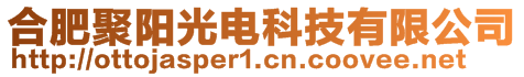 合肥聚陽光電科技有限公司