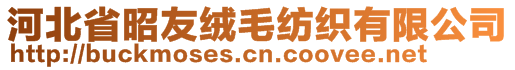 河北省昭友絨毛紡織有限公司