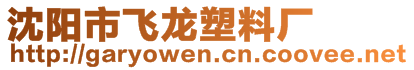 沈陽市飛龍塑料廠