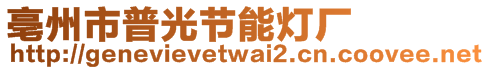 亳州市普光節(jié)能燈廠