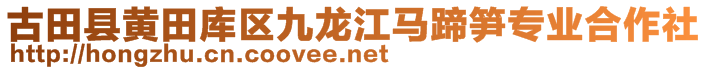 古田县黄田库区九龙江马蹄笋专业合作社