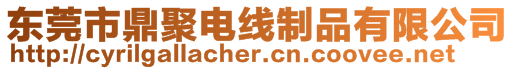 東莞市鼎聚電線制品有限公司