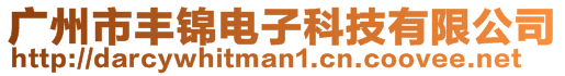 廣州市豐錦電子科技有限公司