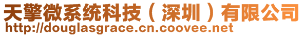 天擎微系統(tǒng)科技(深圳)有限公司