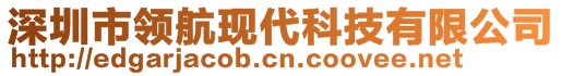 深圳市領(lǐng)航現(xiàn)代科技有限公司