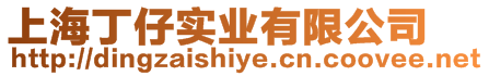 上海丁仔實(shí)業(yè)有限公司