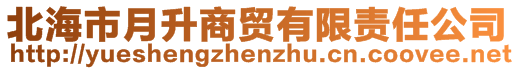 北海市月升商貿(mào)有限責(zé)任公司