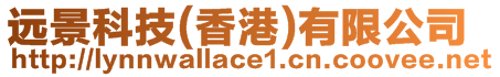 遠(yuǎn)景科技(香港)有限公司