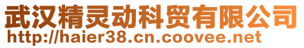 武漢精靈動(dòng)科貿(mào)有限公司