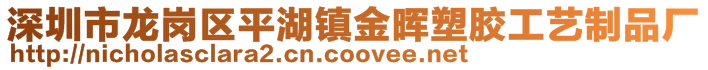 深圳市龍崗區平湖鎮金暉塑膠工藝制品廠