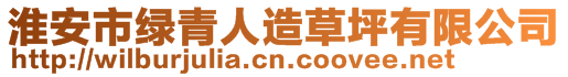 淮安市綠青人造草坪有限公司