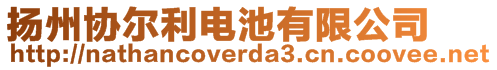 揚(yáng)州協(xié)爾利電池有限公司