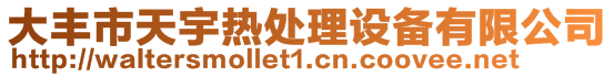 大豐市天宇熱處理設備有限公司