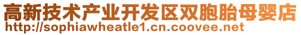 高新技術(shù)產(chǎn)業(yè)開發(fā)區(qū)雙胞胎母嬰店