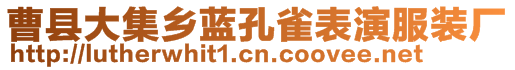 曹县大集乡蓝孔雀表演服装厂