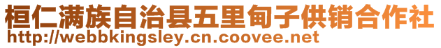 桓仁滿族自治縣五里甸子供銷合作社