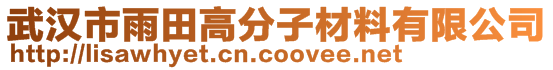 武汉市雨田高分子材料有限公司