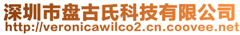 深圳市盘古氏科技有限公司