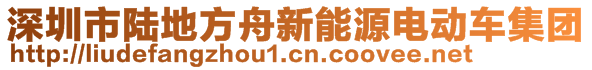 深圳市陸地方舟新能源電動車集團(tuán)