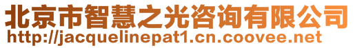北京市智慧之光咨詢有限公司