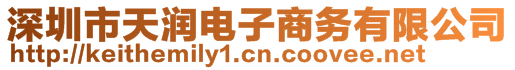 深圳市天潤電子商務(wù)有限公司