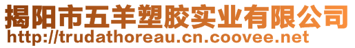 揭陽市五羊塑膠實業(yè)有限公司