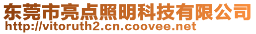 東莞市亮點照明科技有限公司