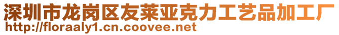 深圳市龍崗區(qū)友萊亞克力工藝品加工廠