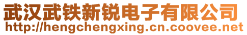 武漢武鐵新銳電子有限公司