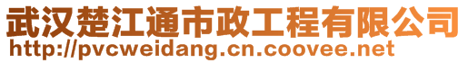 武漢楚江通市政工程有限公司