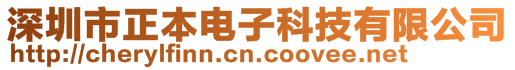 深圳市正本電子科技有限公司