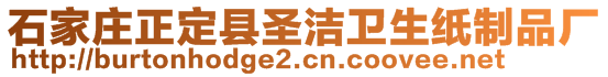 石家莊正定縣圣潔衛(wèi)生紙制品廠