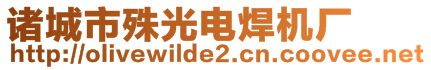 諸城市殊光電焊機(jī)廠