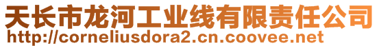 天長市龍河工業(yè)線有限責(zé)任公司