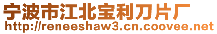 宁波市江北宝利刀片厂