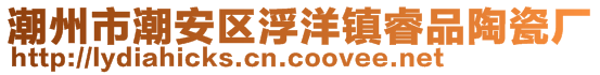 潮州市潮安区浮洋镇睿品陶瓷厂