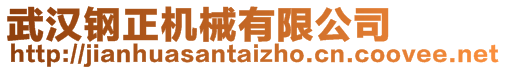 武漢鋼正機械有限公司