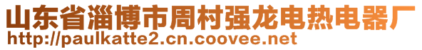 山東省淄博市周村強(qiáng)龍電熱電器廠